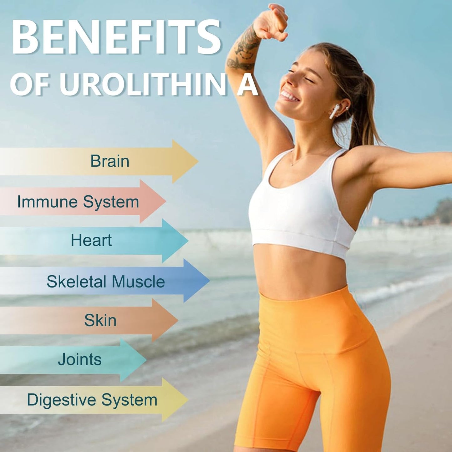 Totaria Health Urolithin A,NAD+,CoQ10,Resveratrol,PQQ 5 in 1
