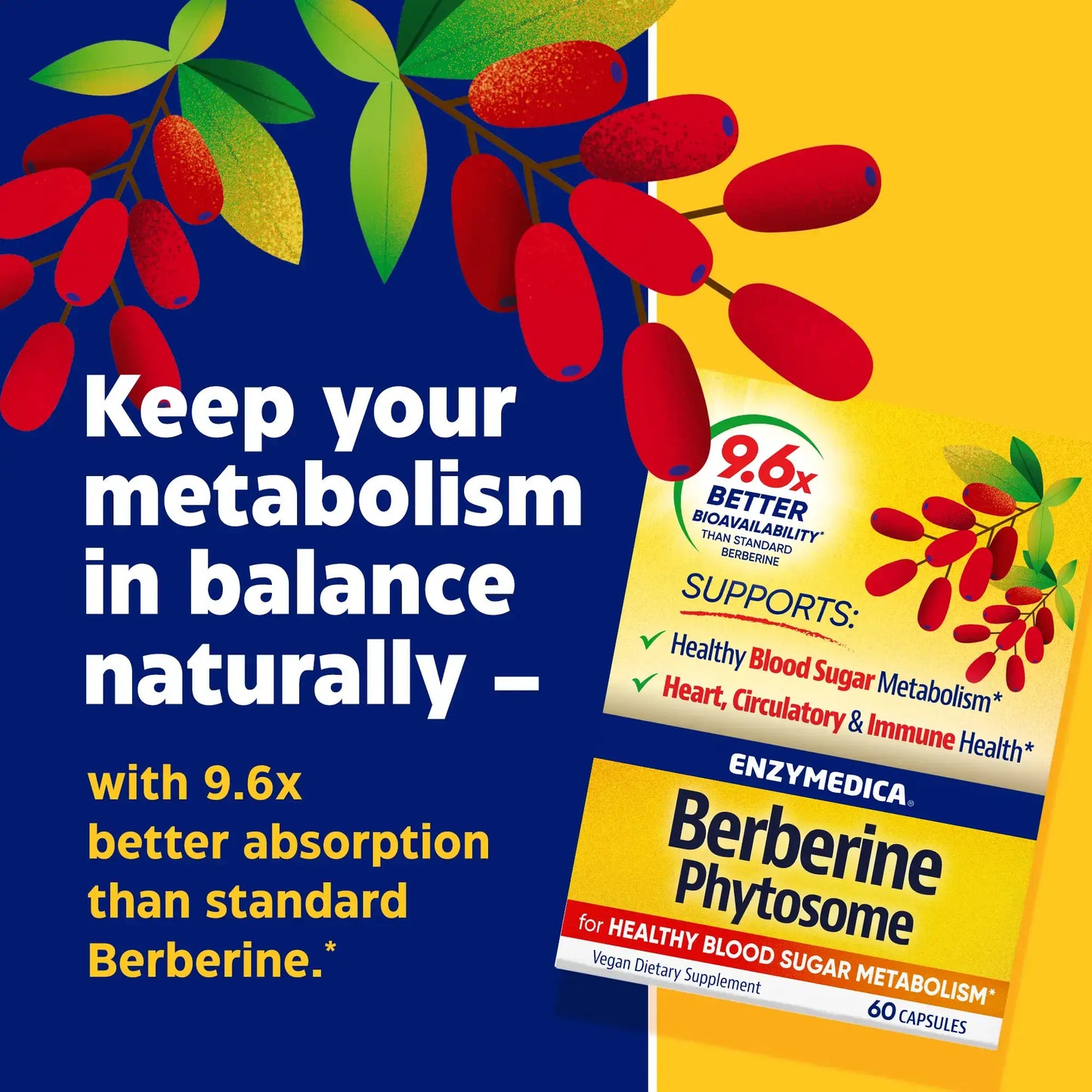 Enzymedica Berberine Phytosome® | 60 Capsules
